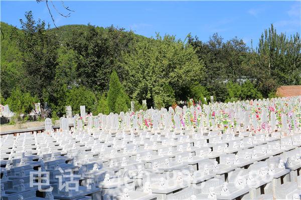 华夏陵园墓地的价格是多少？